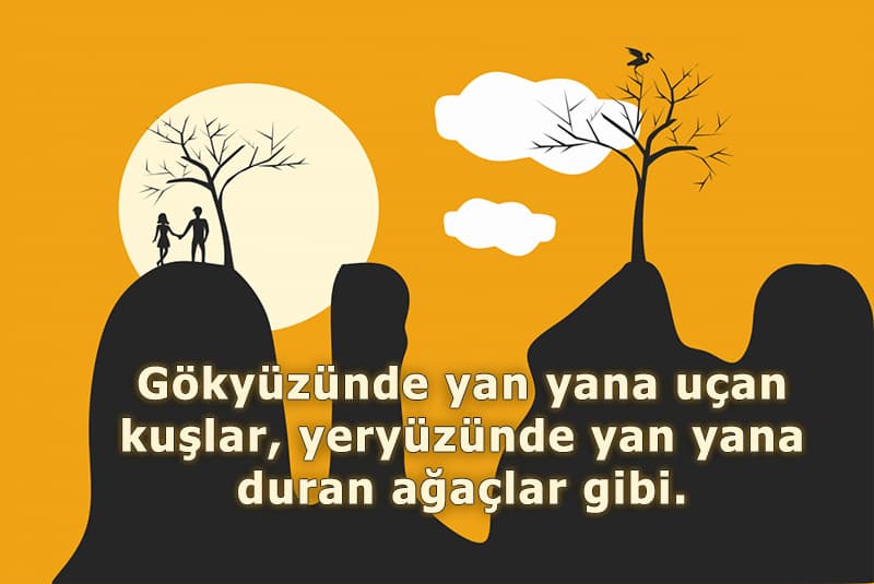 Çin atasözleri aşk